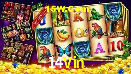 14Vin Slot - 320+ Caça-Níqueis Premium