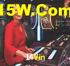 VIP Casino 14Vin