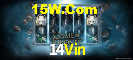 Premium Interface 14Vin