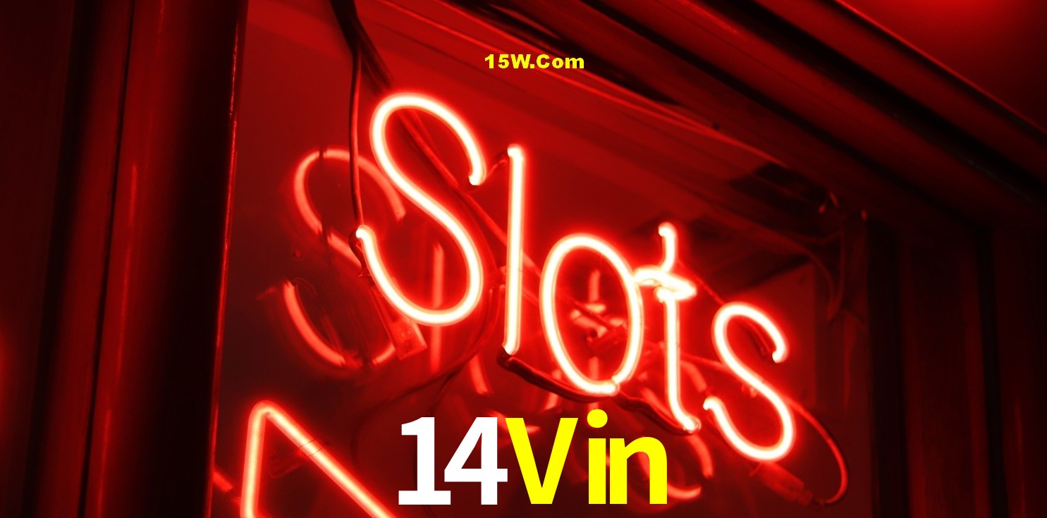 Flash Promotion 14Vin